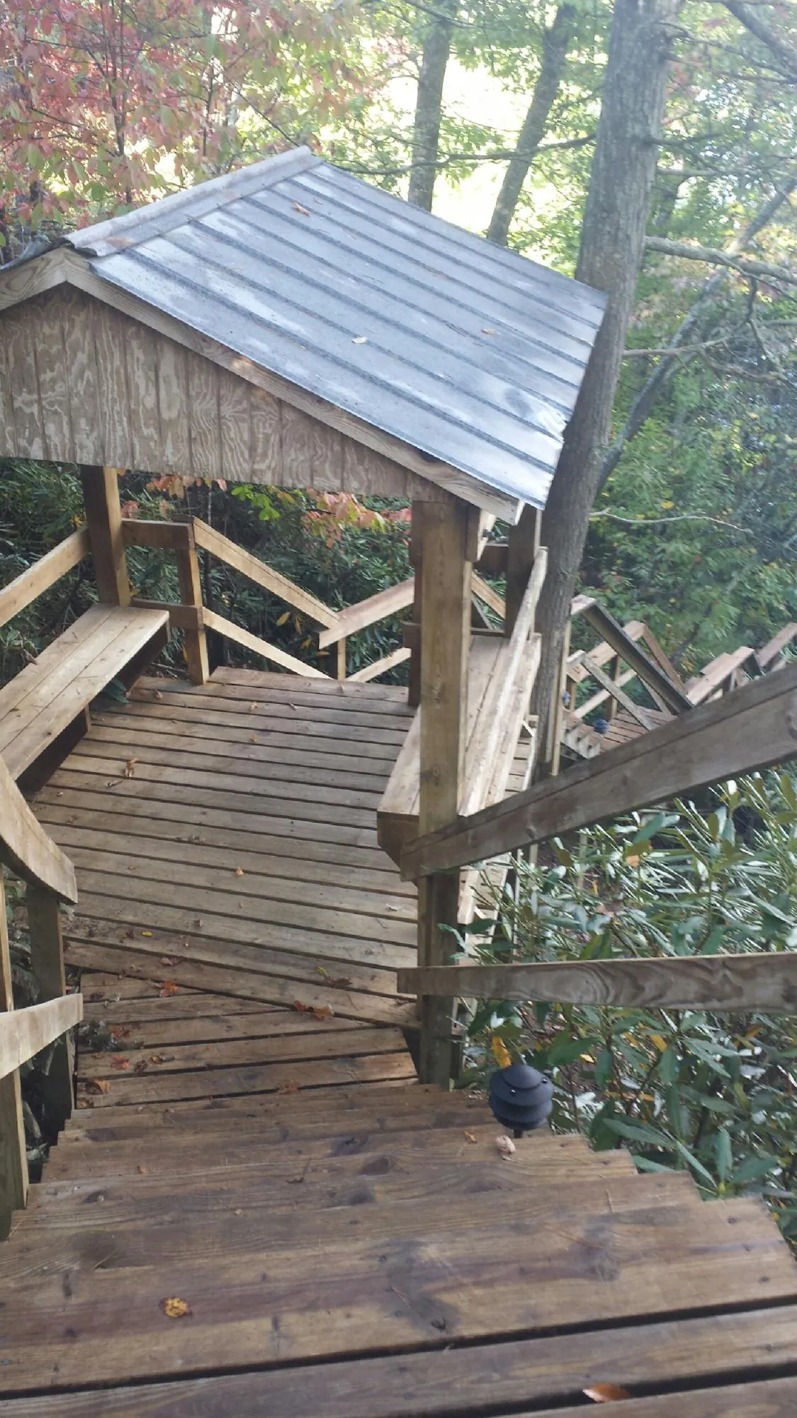 Metal roofed shelter over wooden steps on a wooded walkway — Skylight Repair & Installation work by our crew in Bumpass